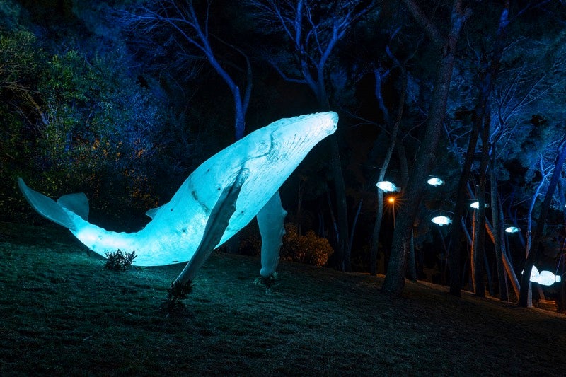 Espectacle 'Natura Encesa', en la seva versió a Santa Cruz de Tenerife / LetsGo