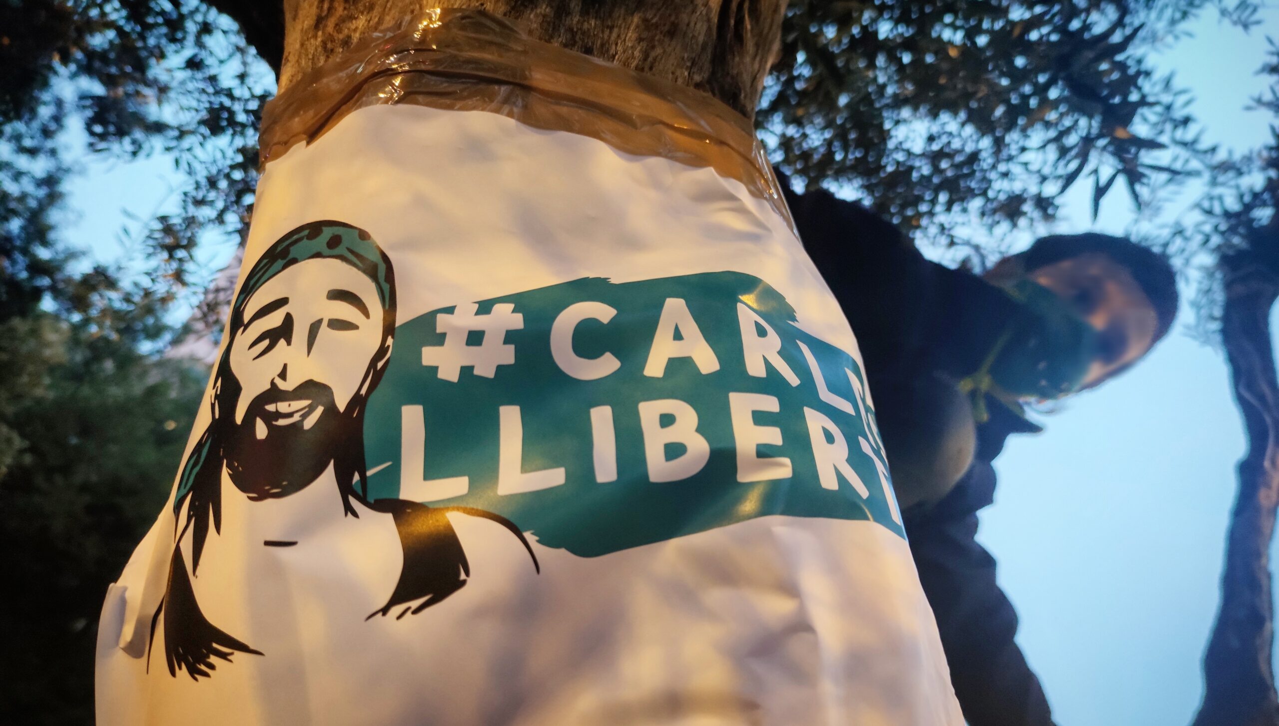 Un nen s'enfila a un arbre de la plaça de Sants on hi ha penjat un cartell per la llibertat del Carles / D.C.