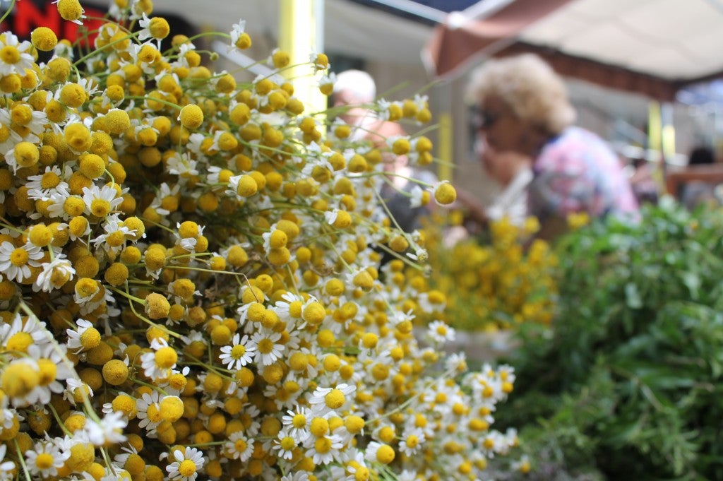 Fira de Sant Ponç, en una imatge d'arxiu / Ajuntament de Barcelona