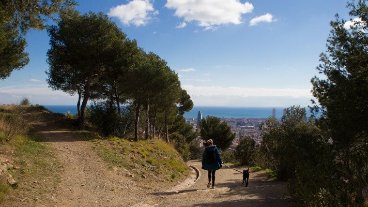 Imatge d'arxiu del Parc del Guinardó, la zona on es va produir la descàrrega elèctrica a una noia / Ajuntament