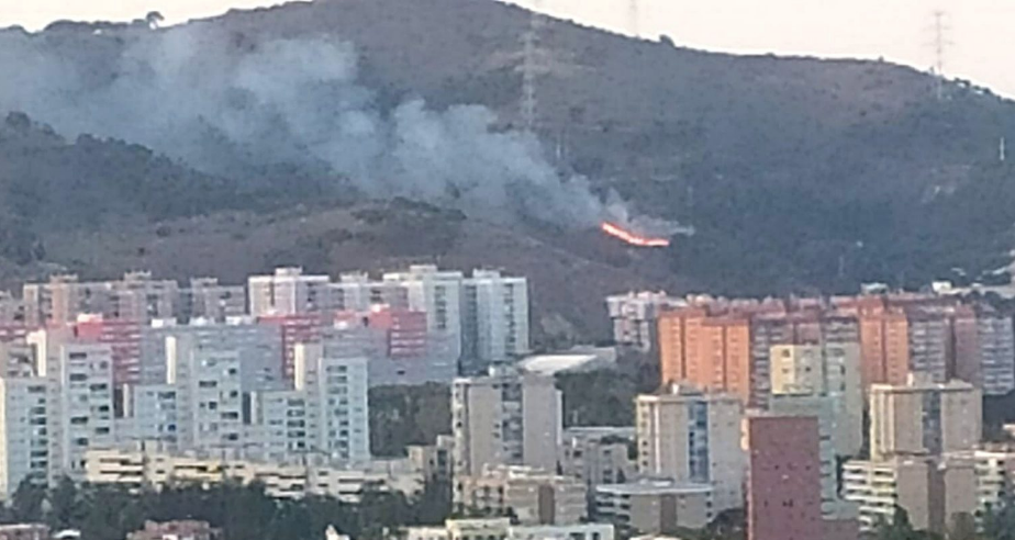 Un nou incendi a Collserola Foto: toni femenia