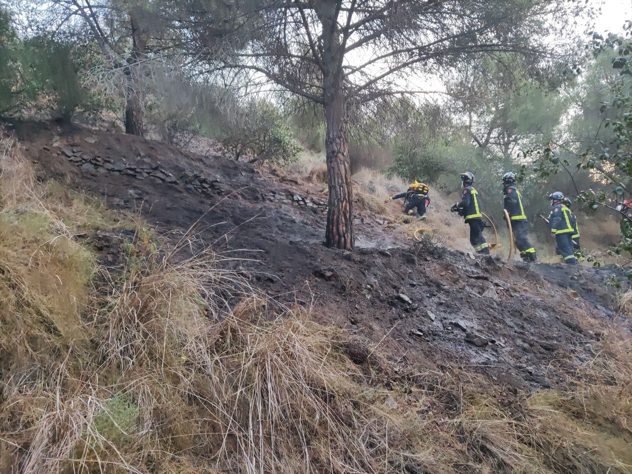 Tasques per apagar el foc a Montbau / Bombers de Barcelona