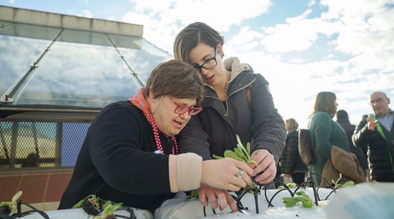 Participants del projecte Horts al terrat / Ajuntament de Barcelona