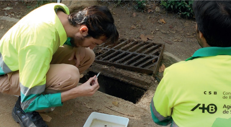 Control a un embornal per cria de mosquits / Ajuntament de Barcelona