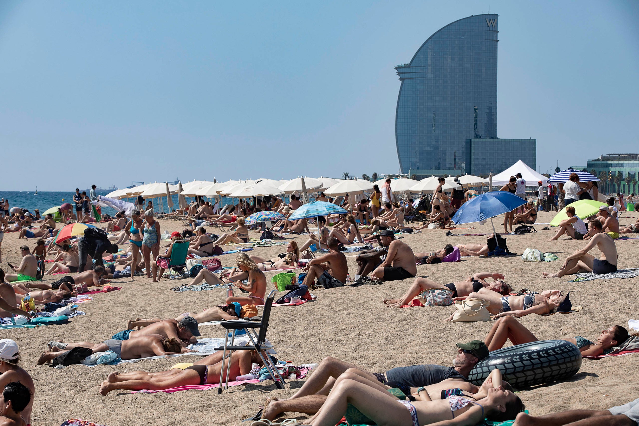 Alerta per la presència de meduses a les platges de la ciutat JORDI PLAY