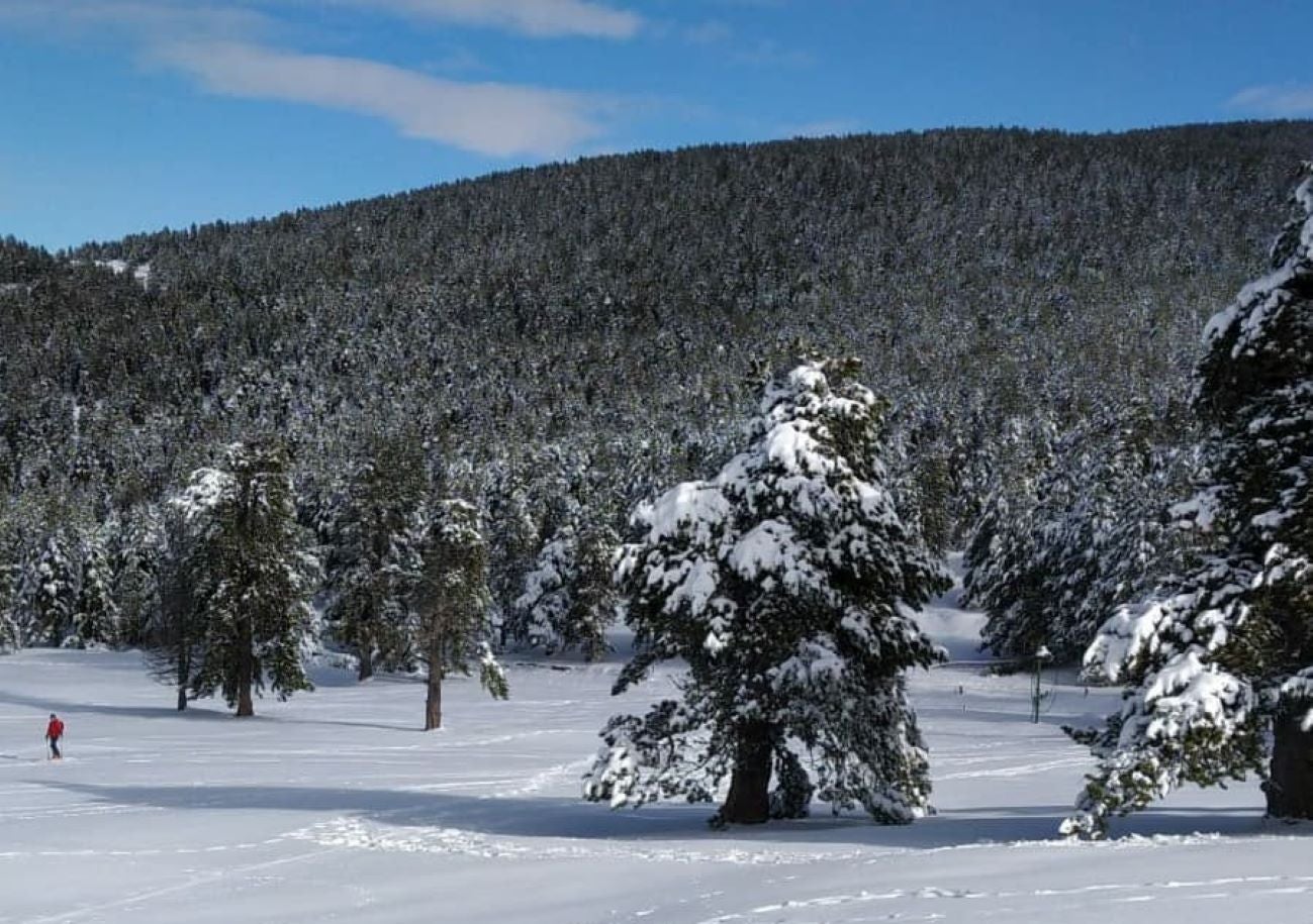 Paisaje nevado en Rasos de Peguera / Instagram