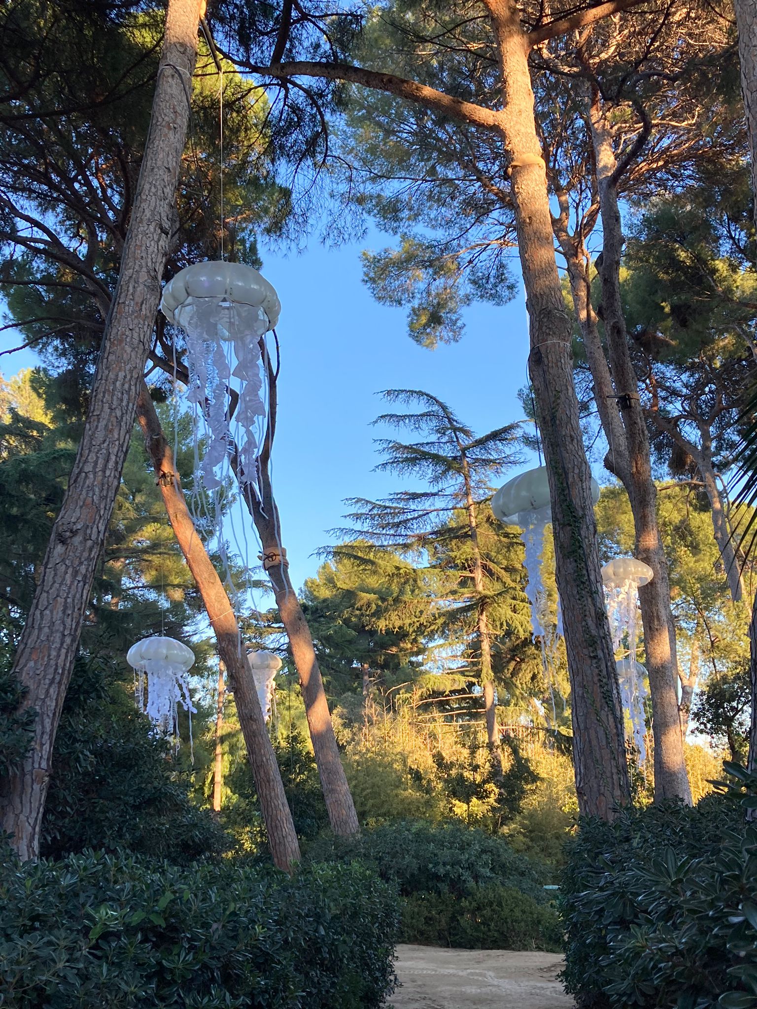 Decoració de l'espectacle 'Natura encesa' penjant d'arbres dels jardins de Pedralbes / Cedida