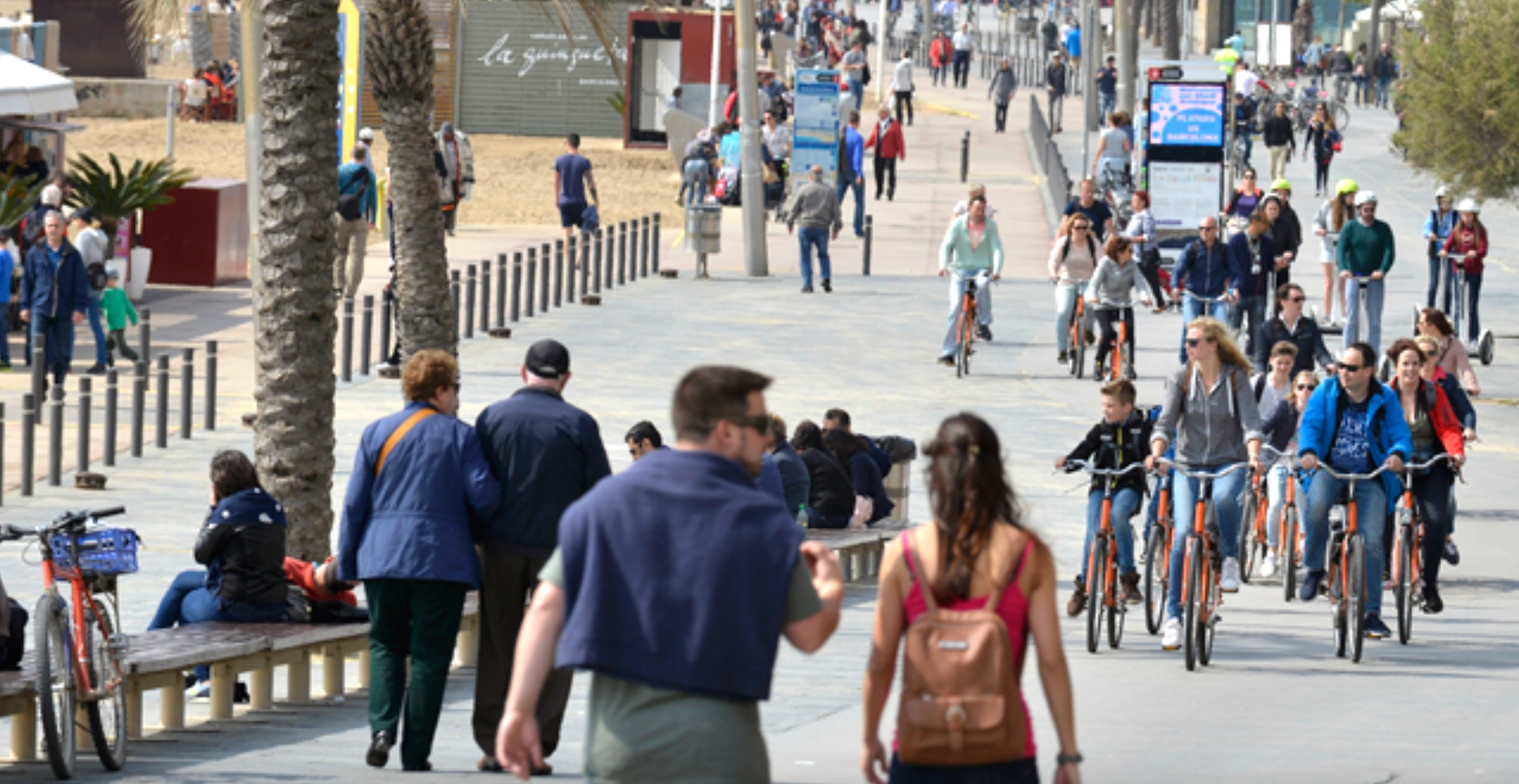 No tothom coneix la normativa de bicicletes a la ciutat AJUNTAMENT