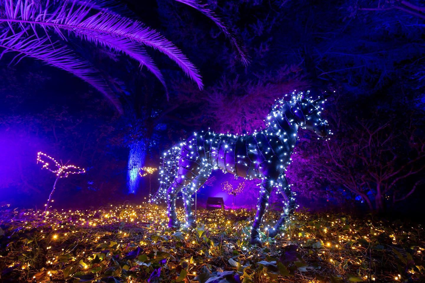 Instal·lació de l'espectacle 'Natura encesa' als Jardins de Pedralbes / Cedida