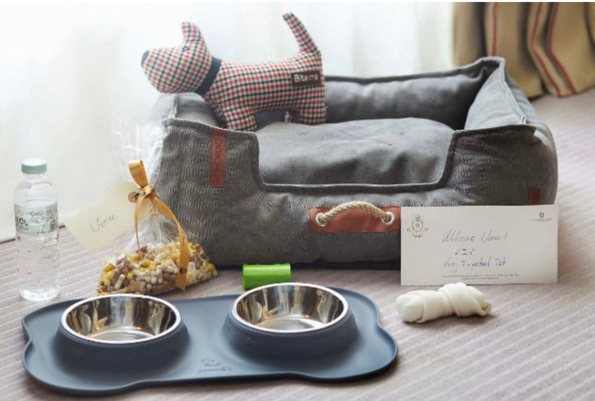 Gossos amb tractament de VIP al Majestic HOTEL MAJESTIC 