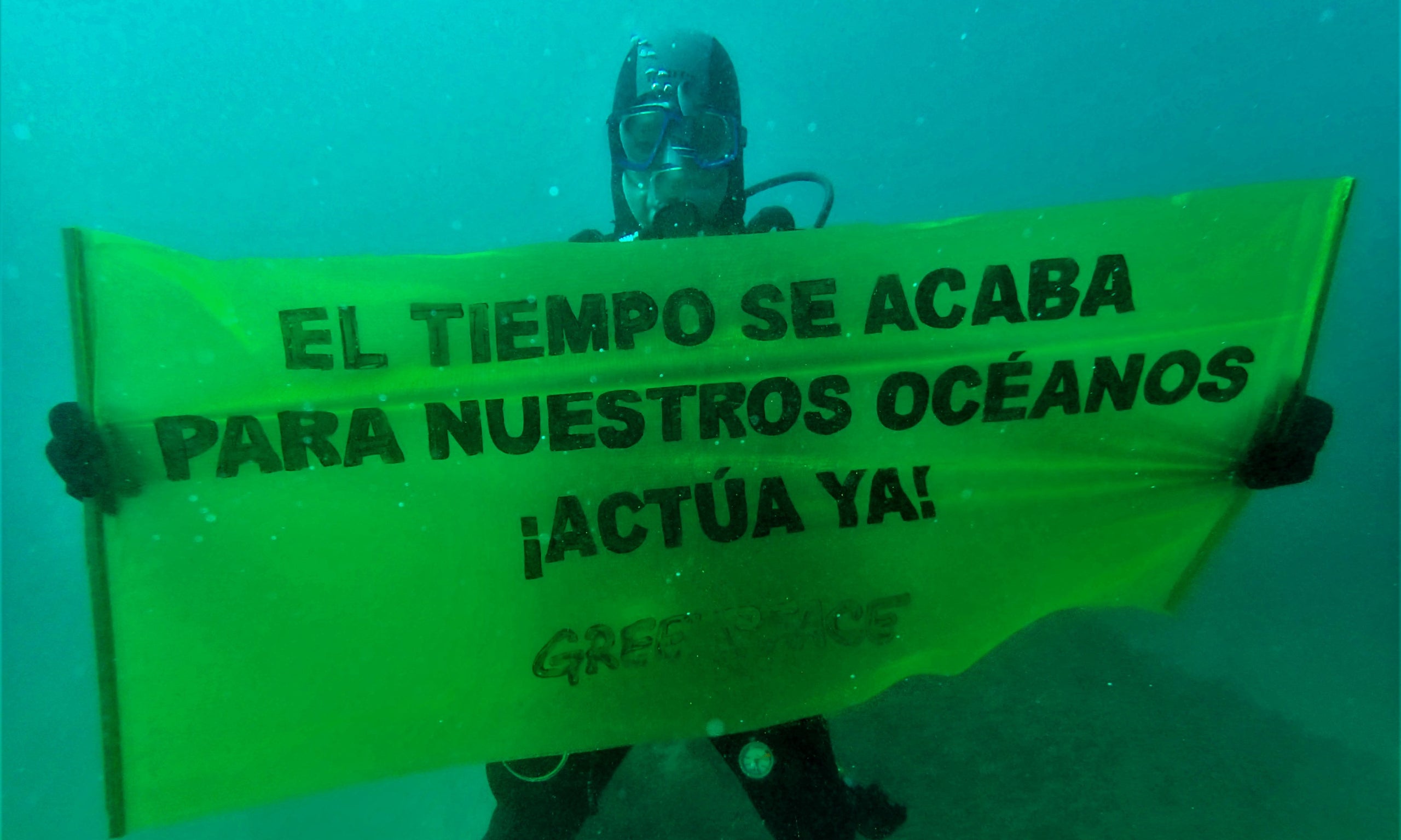 Un submarinista desplega una pancarta de Greenpeace a l'espigó de la Mar Bella a favor d'un tractat de protecció dels oceans / Greenpeace