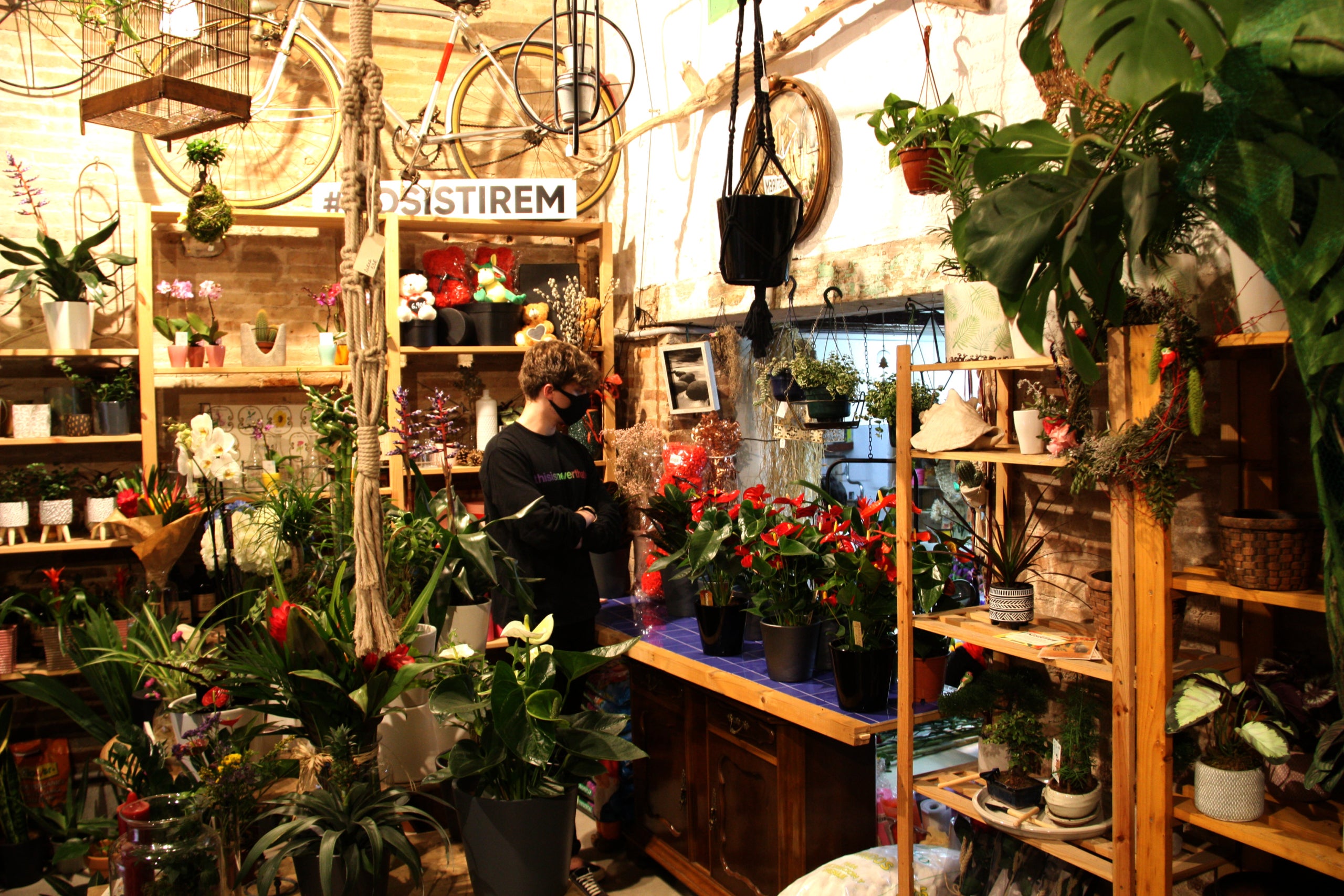 Interior de la floristeria Rosistirem de Barcelona / Ivette Lehmann (ACN)