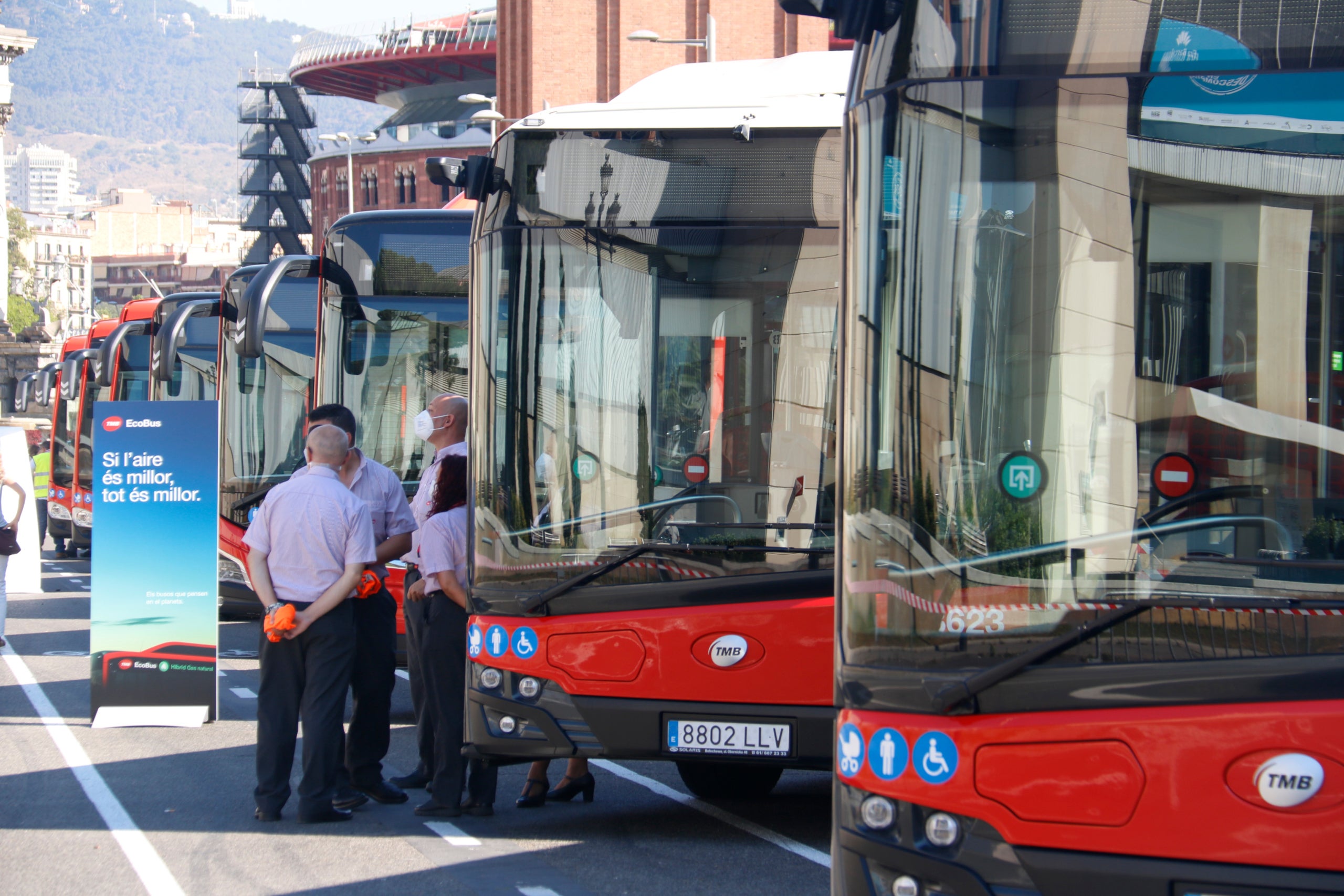 Busos de Barcelona en una imatge d'arxiu ACN