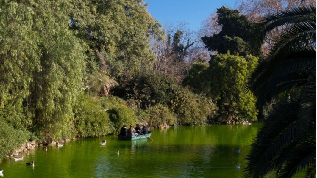 Barca a l'estany de la Ciutadella / Ajuntament de Barcelona