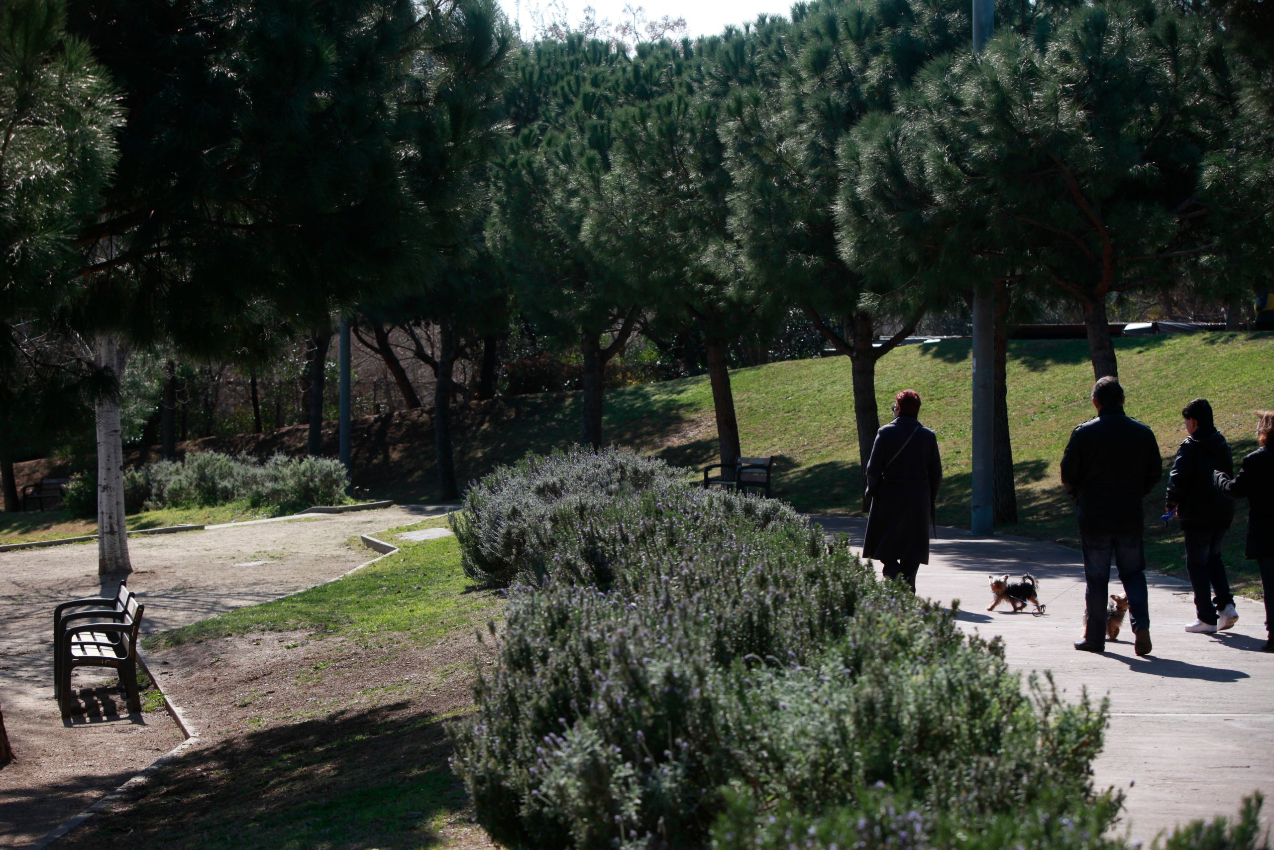 El barri de la Vall d'Hebron, aïllat i sense llibreria ni biblioteca JORDI PLAY