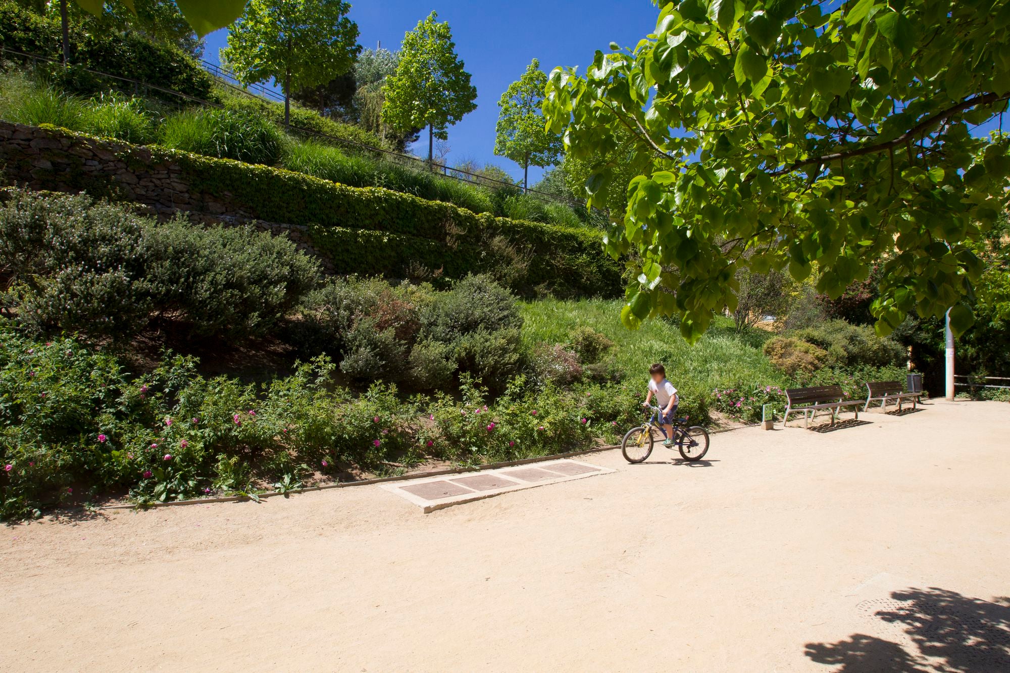 Parc de la Primavera, a Montjuïc / Òscar Giralt