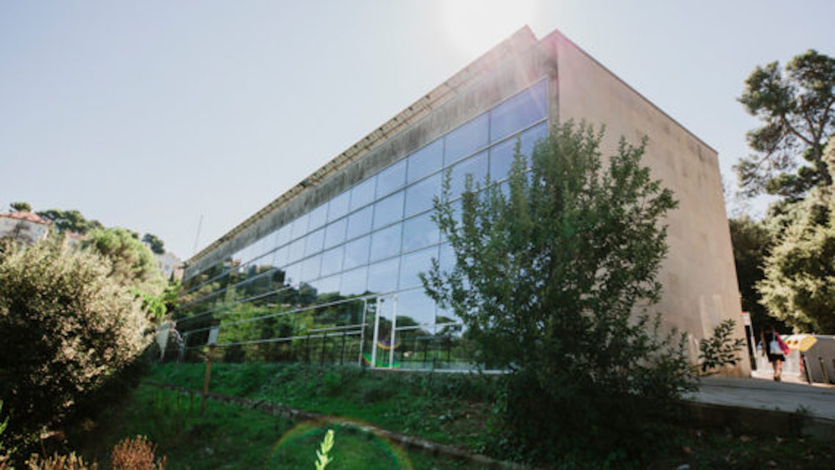 Biblioteca Collserola-Josep Miracle / Foto: Ajuntament de Barcelona