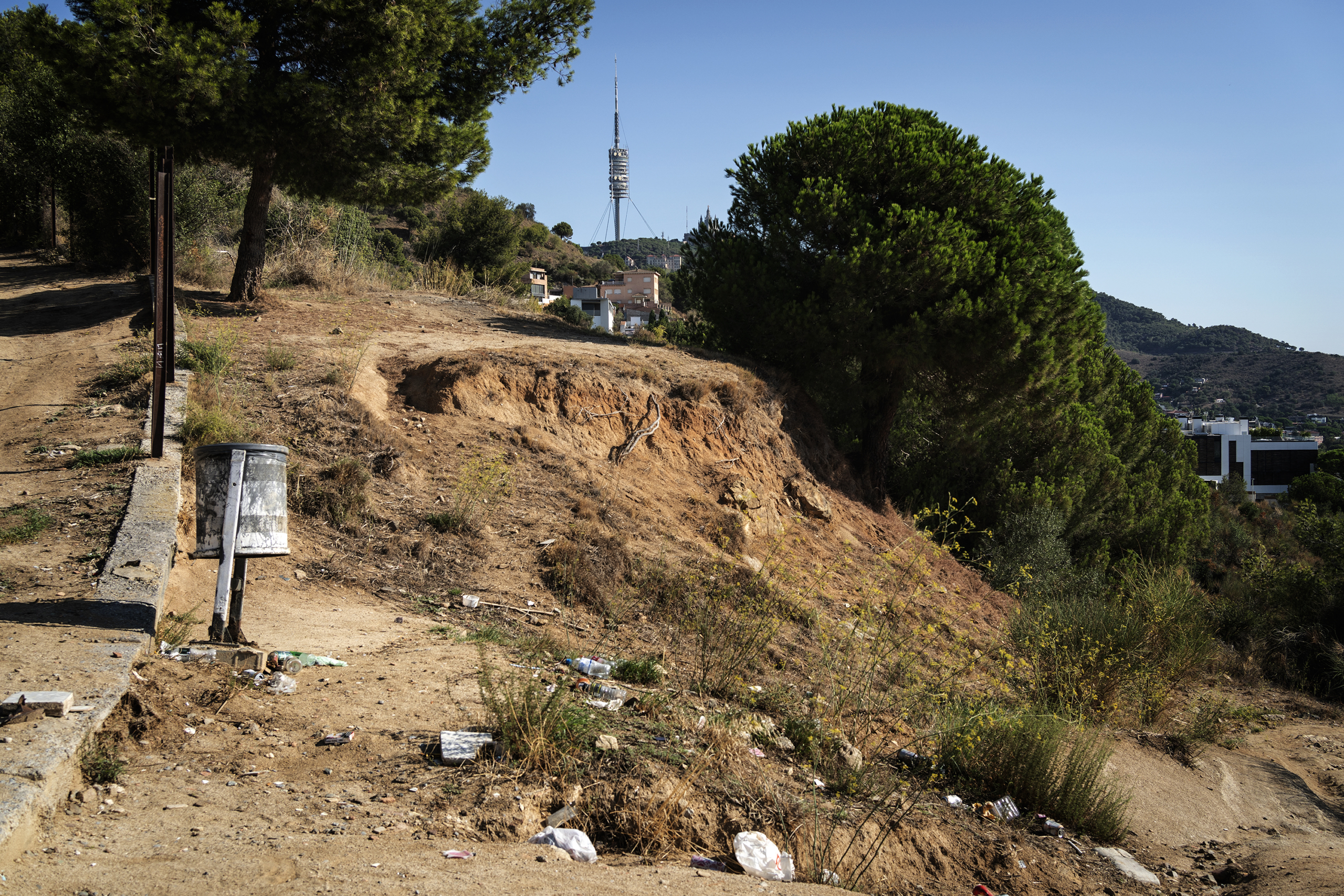 El risc d'incendi continua sent elevat a la Serra de Collserola / Mireia Comas