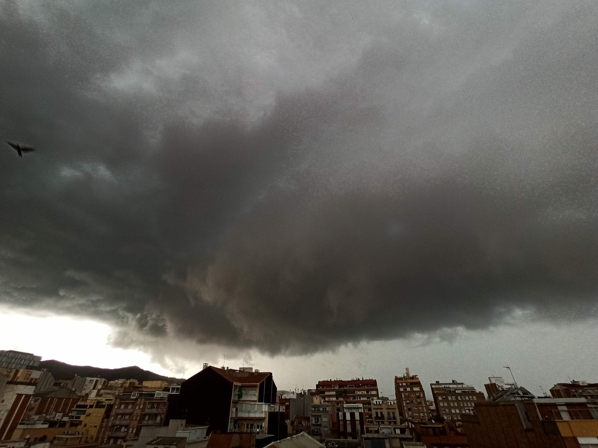 Calamarsada a Barcelona / Twitter de: @avantocat