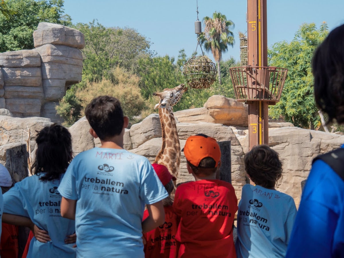 Zoo de Barcelona / Ajuntament de Barcelona