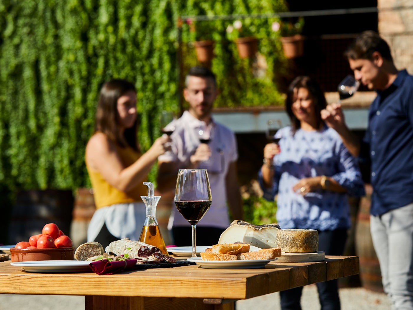 ‘Brunch’ entre vinyes als Cellers Abadal de la DO Pla de Bages. Agència Catalana de Turisme