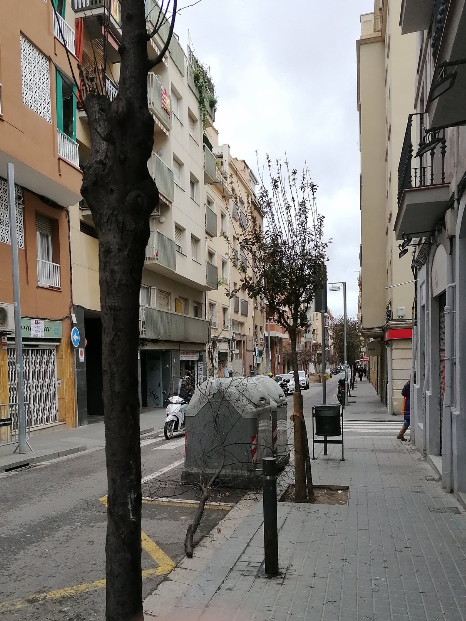 Un veí del carrer denuncia l'estat dels arbres a Twitter / @tinet52
