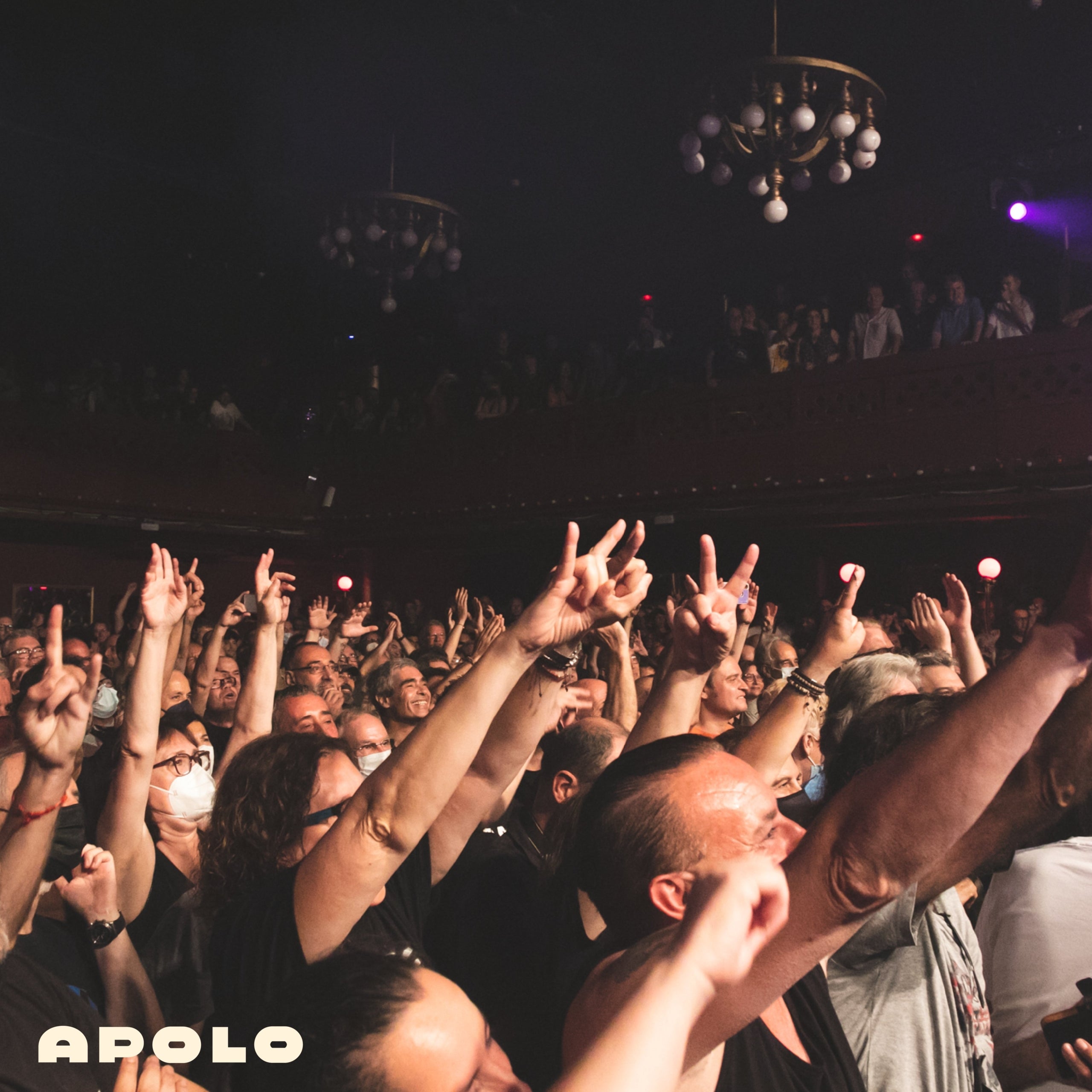 La Sala Apolo durant un concert / @Sala_Apolo