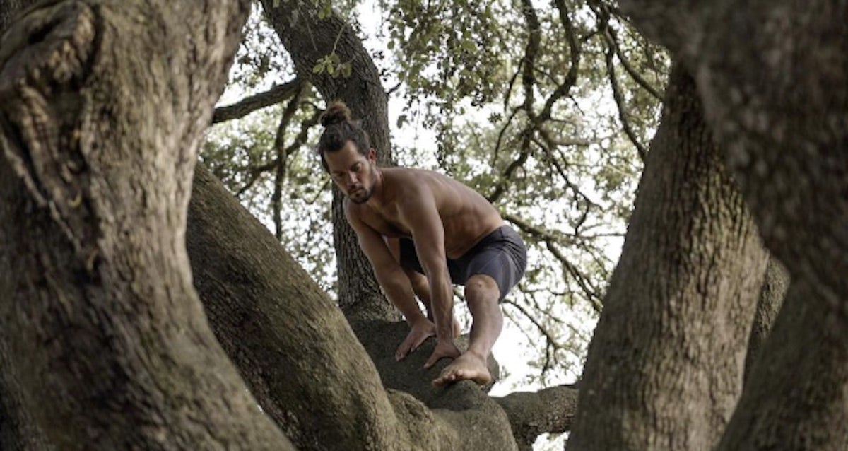 Les classes es fan a un arbre del parc de la Ciutadella / Instagram: @tarzan_movement