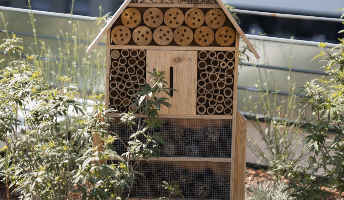 Així és un hotel d'insectes AJUNTAMENT