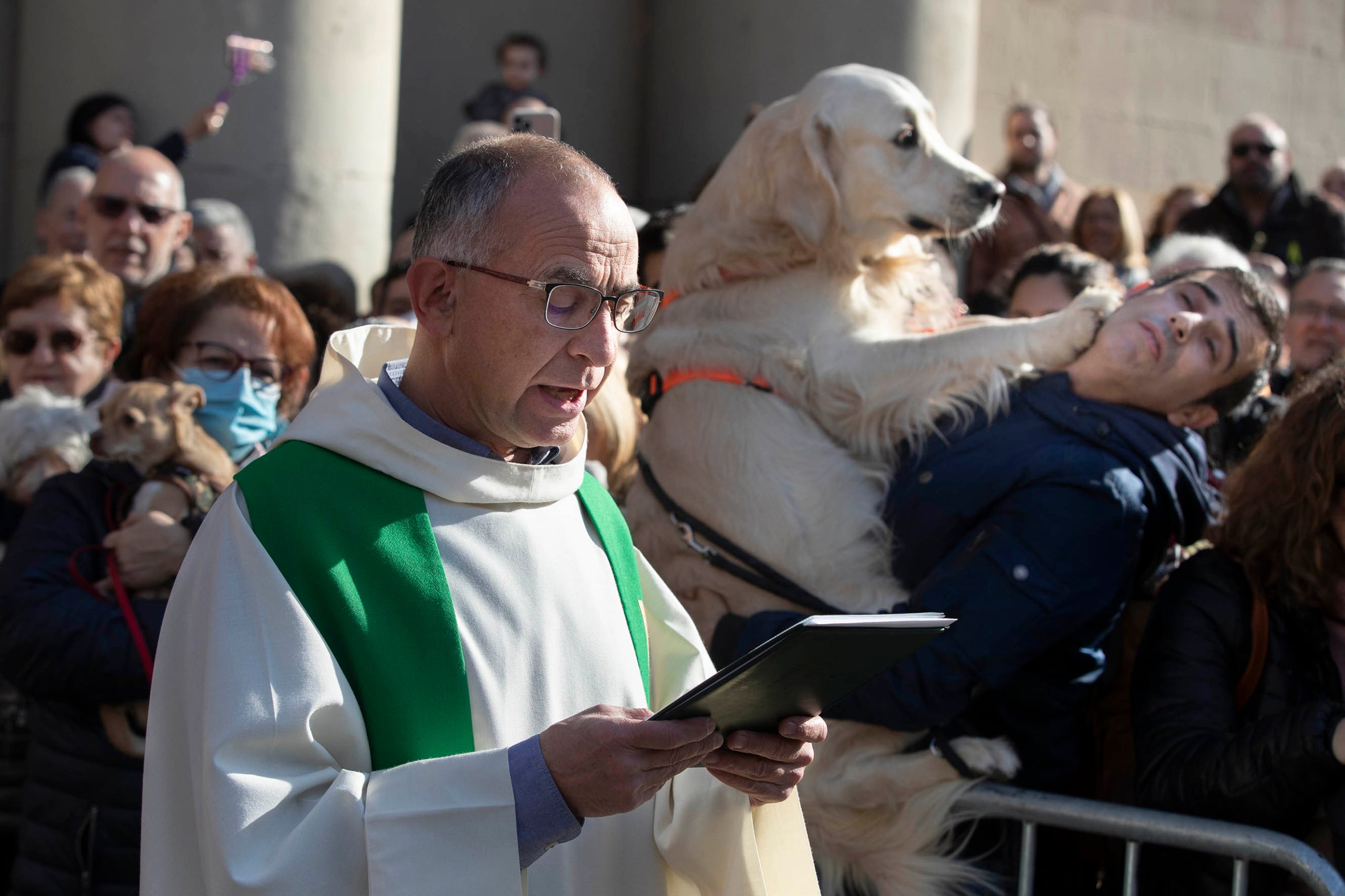 Els Tres Tombs a Sant Andreu per Sant Antoni. Benedicció d' animals de companyia. Gos, gossos, capellà, mossèn, religió,