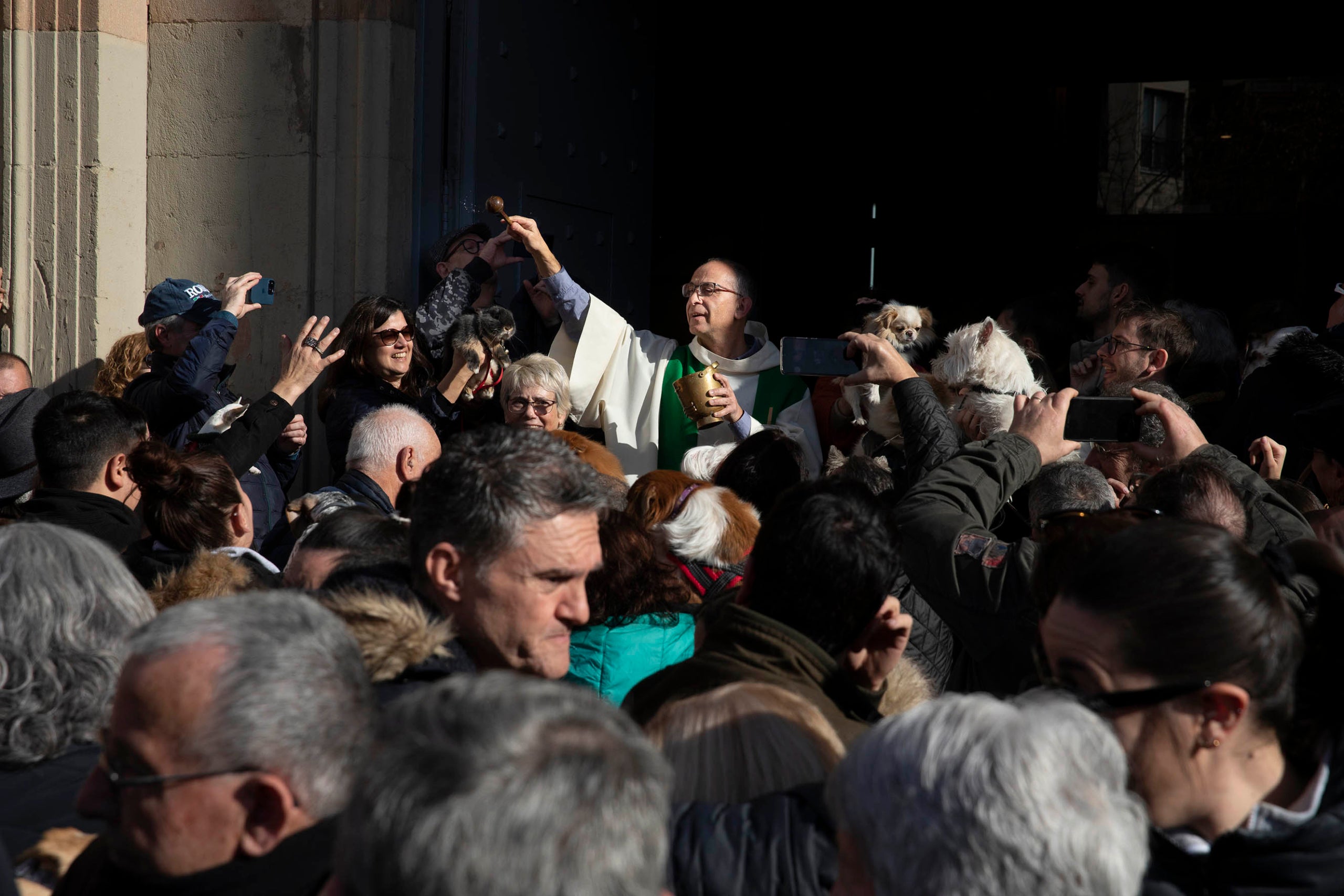 Els Tres Tombs a Sant Andreu per Sant Antoni. Benedicció d' animals de companyia. Gos, gossos, capellà, mossèn, religió,