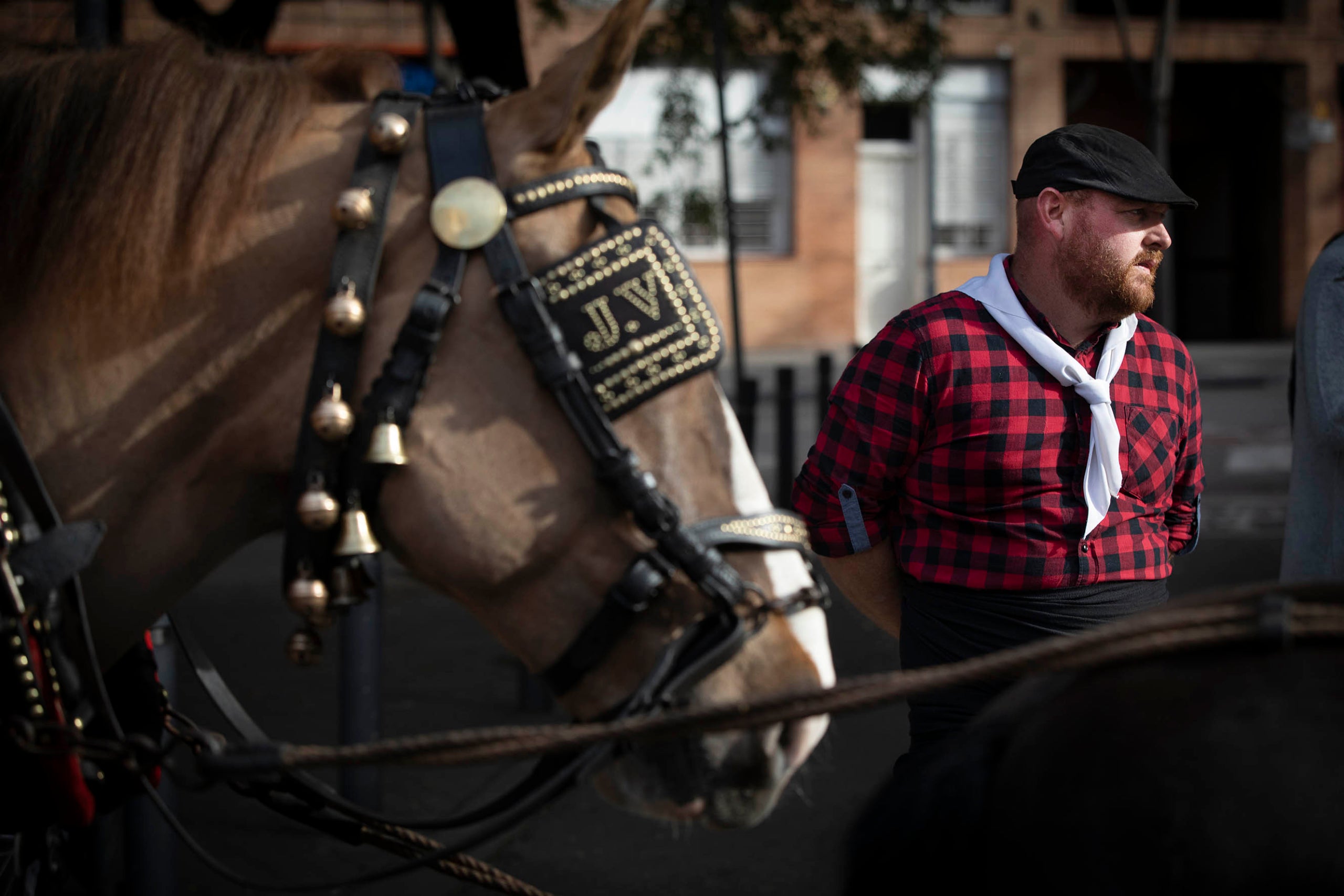 15.01.2023, Barcelona
Els Tres Tombs a Sant Andreu per Sant Antoni.
foto: Jordi Play