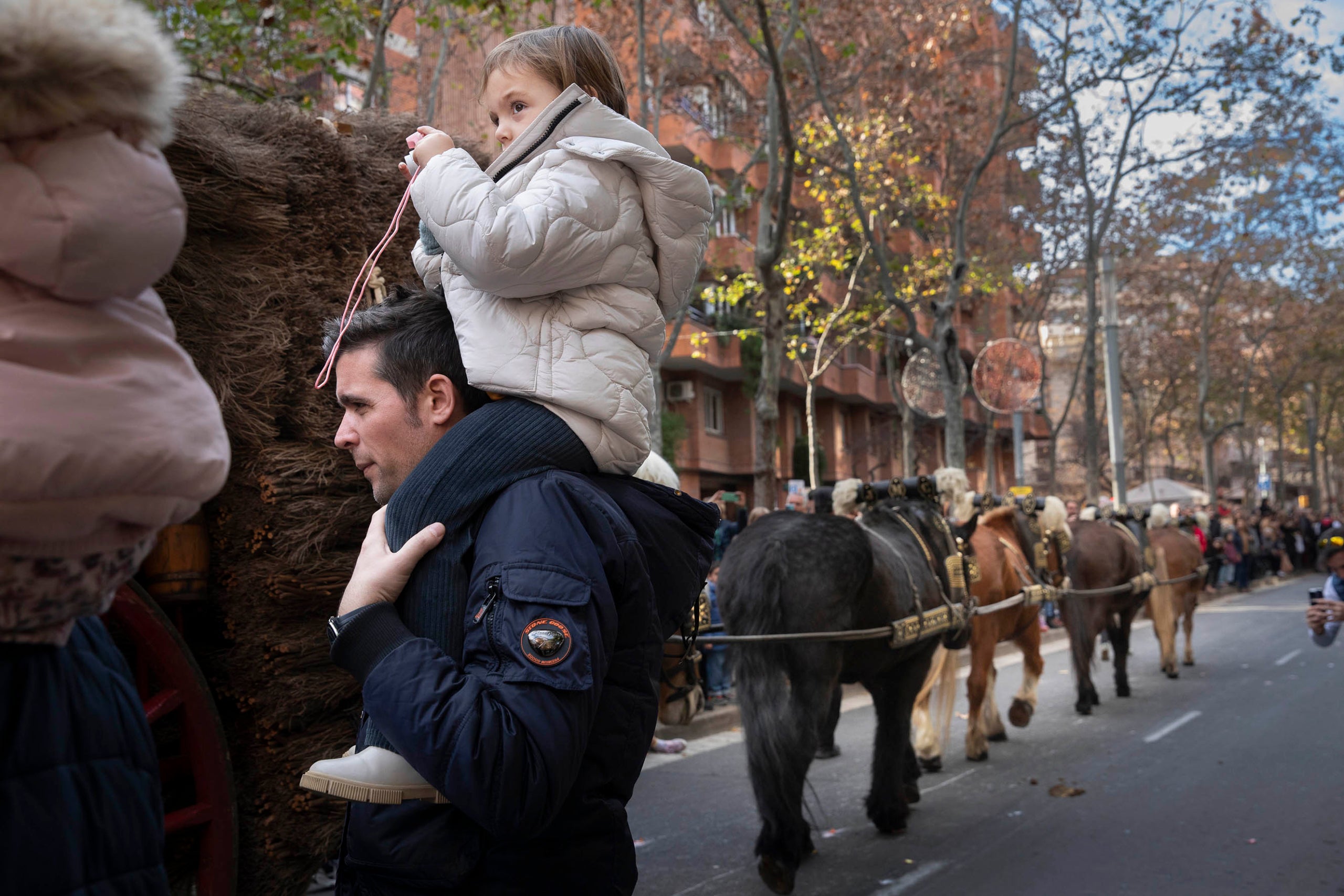 Els Tres Tombs a Sant Andreu per Sant Antoni. tradició, festa tradicional, tradicions catalanes
