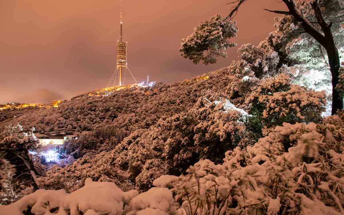 La nevada ha arribat a Collserola, amb gruixos de fins a 7cm. ALFONS PUERTAS 