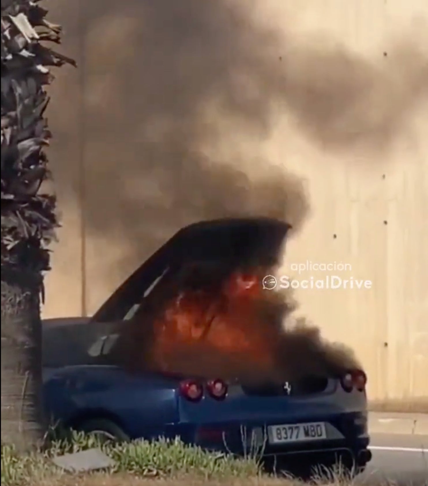 Una imatge d'arxiu d'un Ferrari incendiat el passat abril a la ronda del Litoral / Social Drive