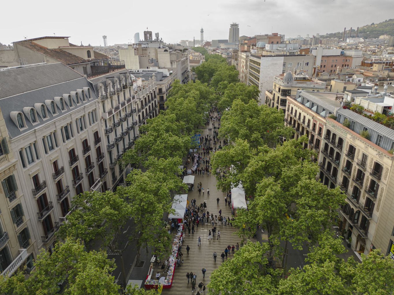 Un dels incidents ha passat aquesta matinada a La Rambla | Ajuntament 