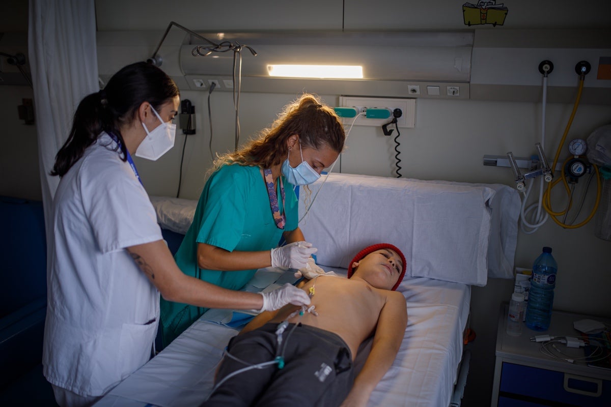 El Bruno rep les cures necessàries per part de l'equip mèdic DAVID MELERO