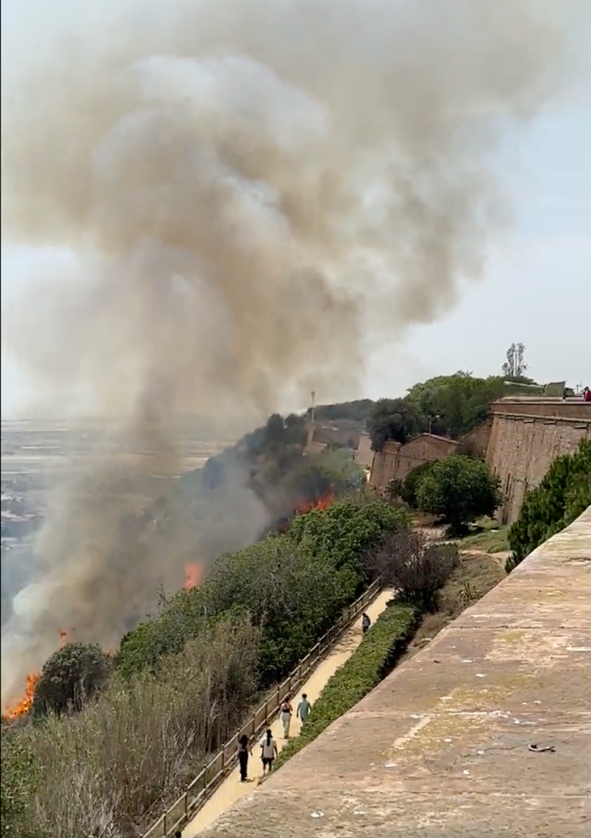 L'incendi d'aquest dimarts a la muntanya de Montjuïc / Twitter (@jenniejwalkerr)