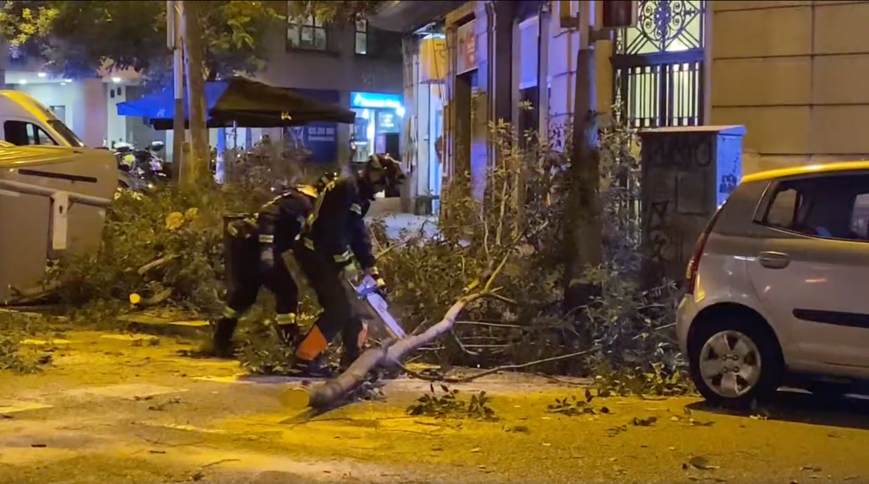 Bombers treballen per retirar l'arbre caigut al carrer d'Entença de Sant Antoni / Jordi Corbalan