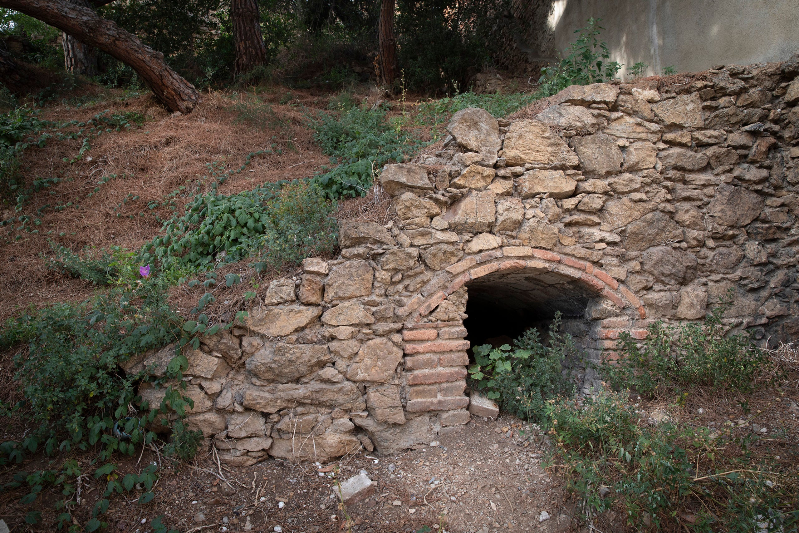 La sra Montserrat ens mostra el seu refugi antiaeri privat del carrer Mühlberg, 73 al barri del Carmel. guerra civil