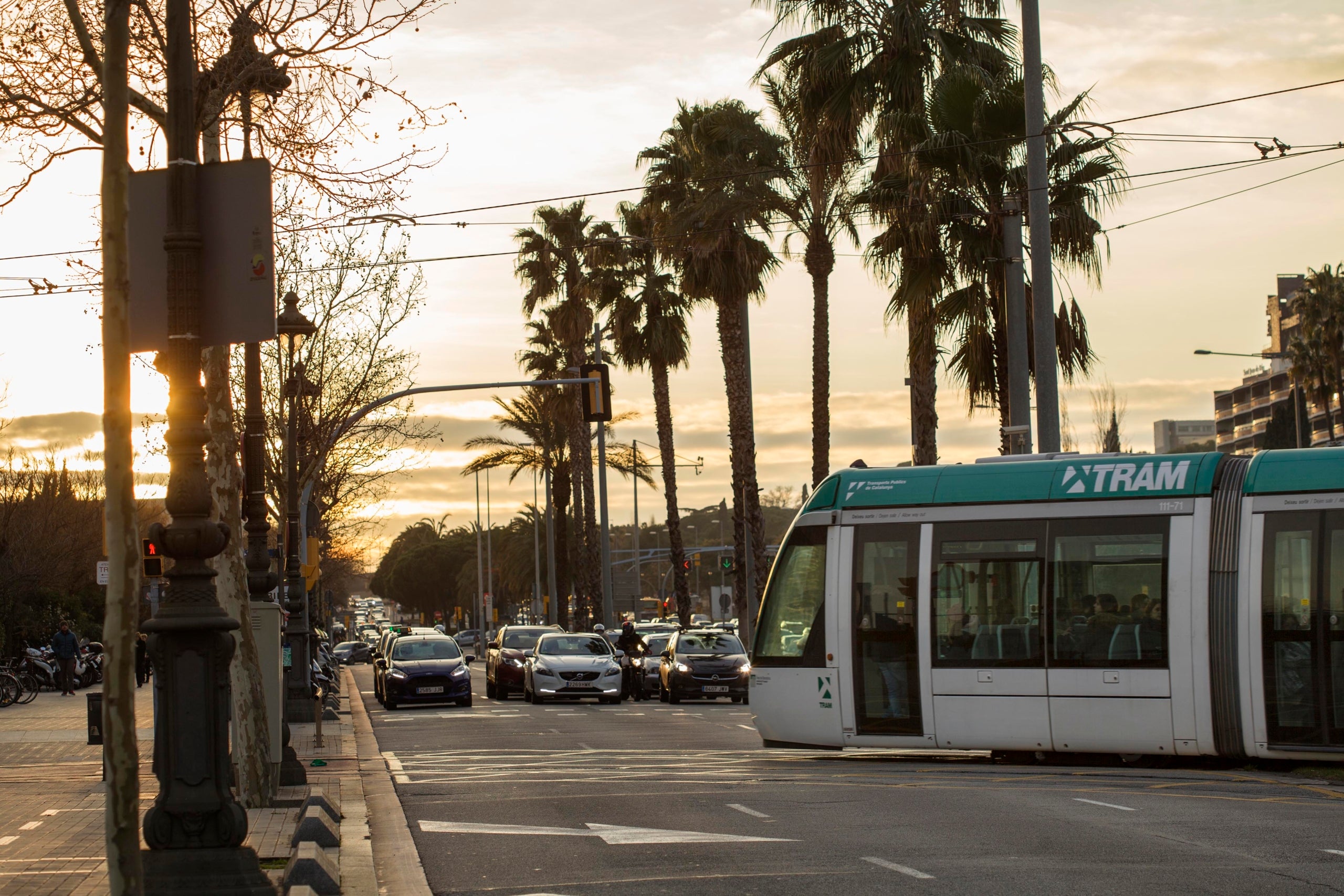 Un tramvia en horari de servei | TRAM