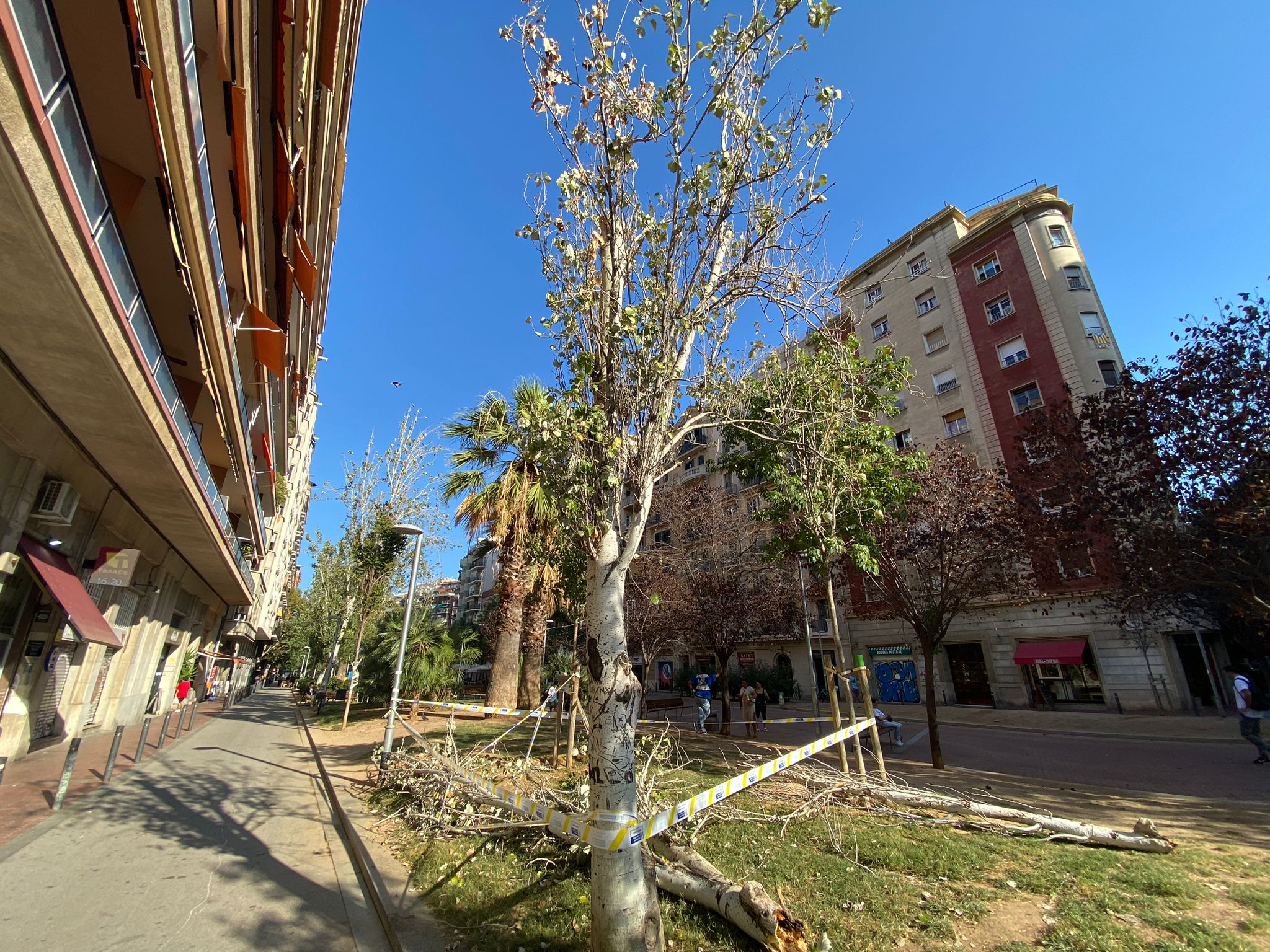 Los bomberos han saneado la zona hacia las 13 horas | Jordi Corbalan