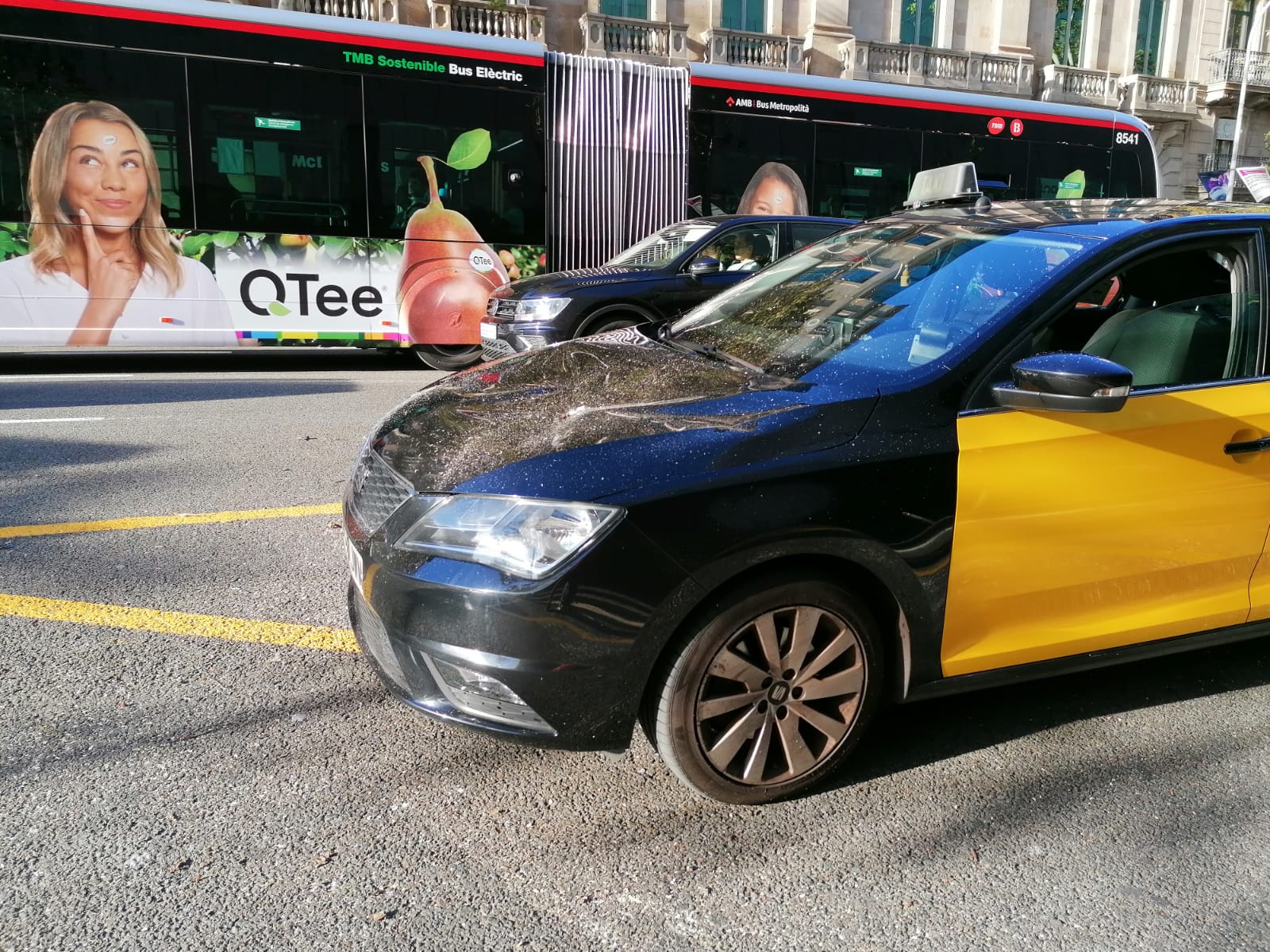 L'arbre que ha caigut aquest dimarts a la tarda a la plaça de Catalunya ha caigut sobre un taxi / Gabriel González