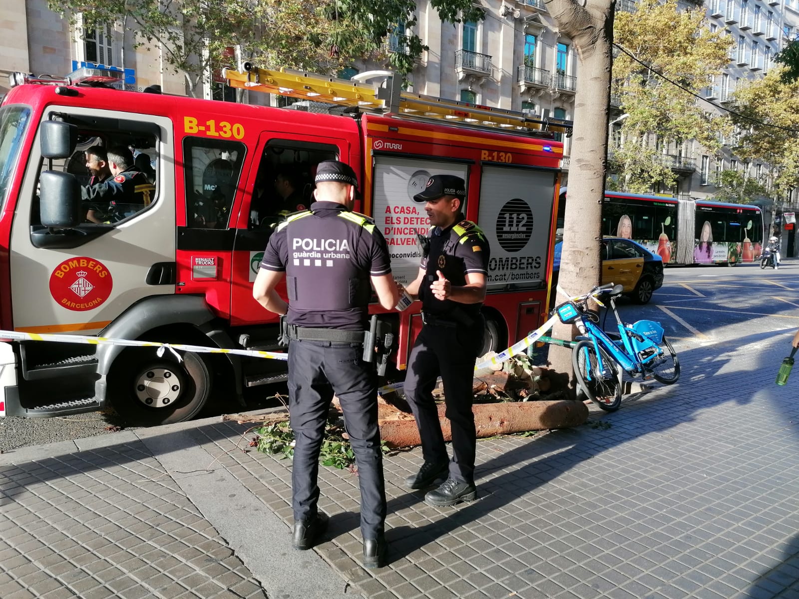 L'arbre que ha caigut aquest dimarts a la tarda a la plaça de Catalunya / Gabriel González