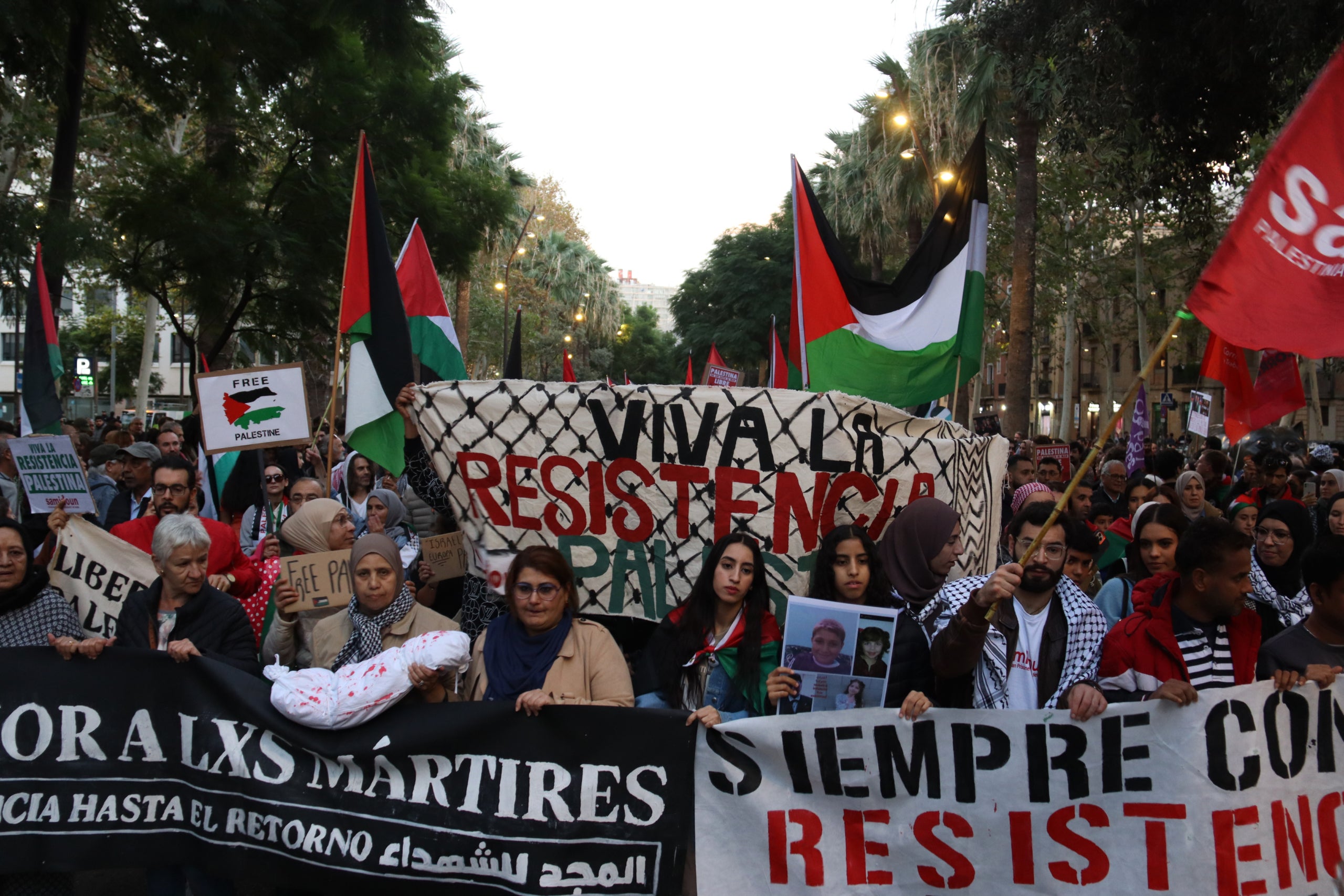 La manifestación de este sábado contra Israel | Marta Vidal (ACN)