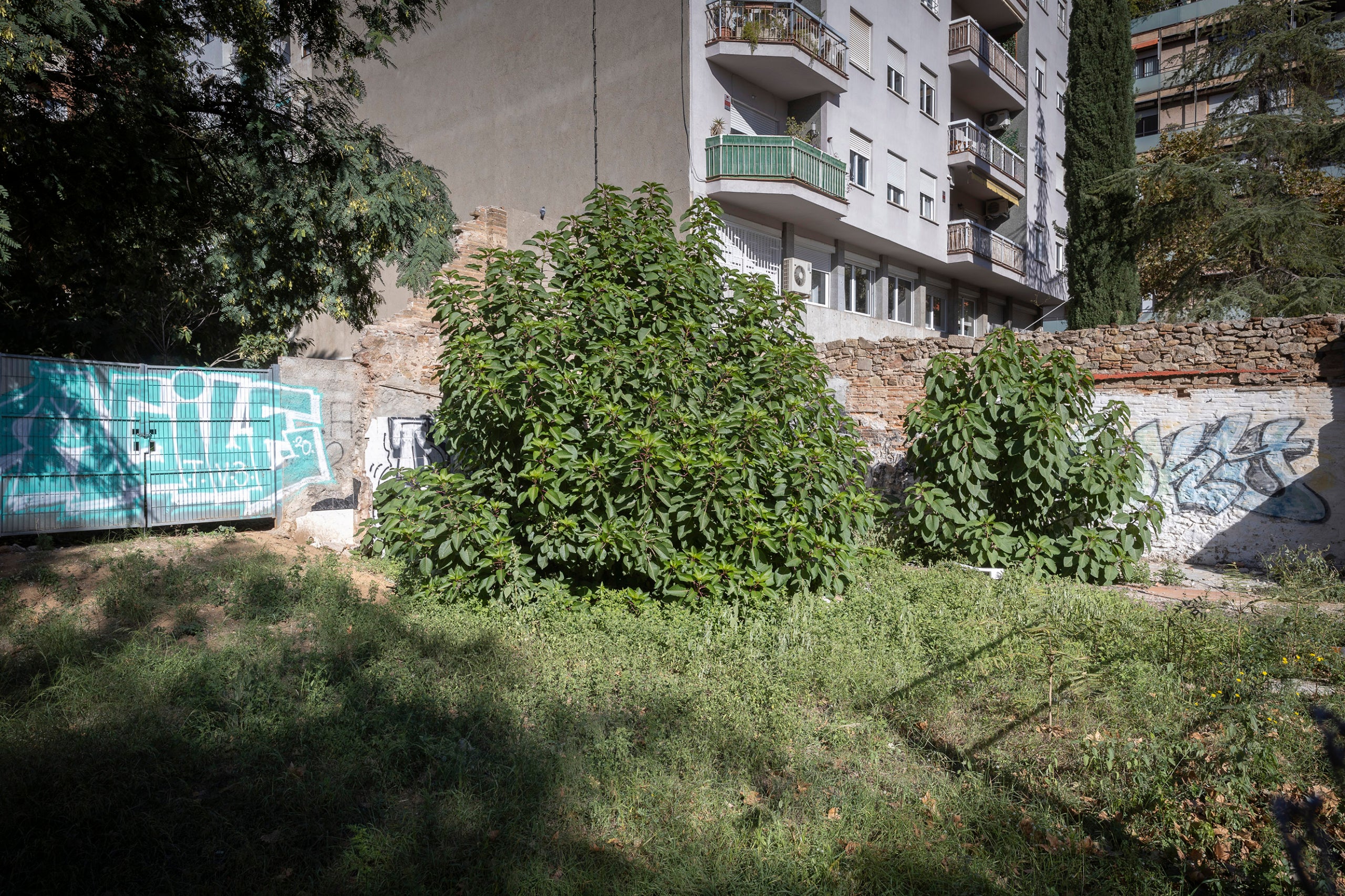 Transformacions urbanístiques al Camp de la Creu, Les Corts.