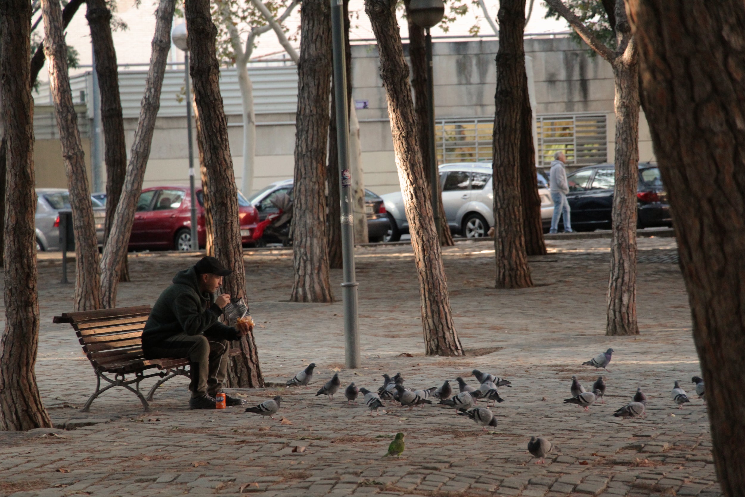 Un home sol, rodejat de coloms, a la plaça de la Palmera | Gabriel González