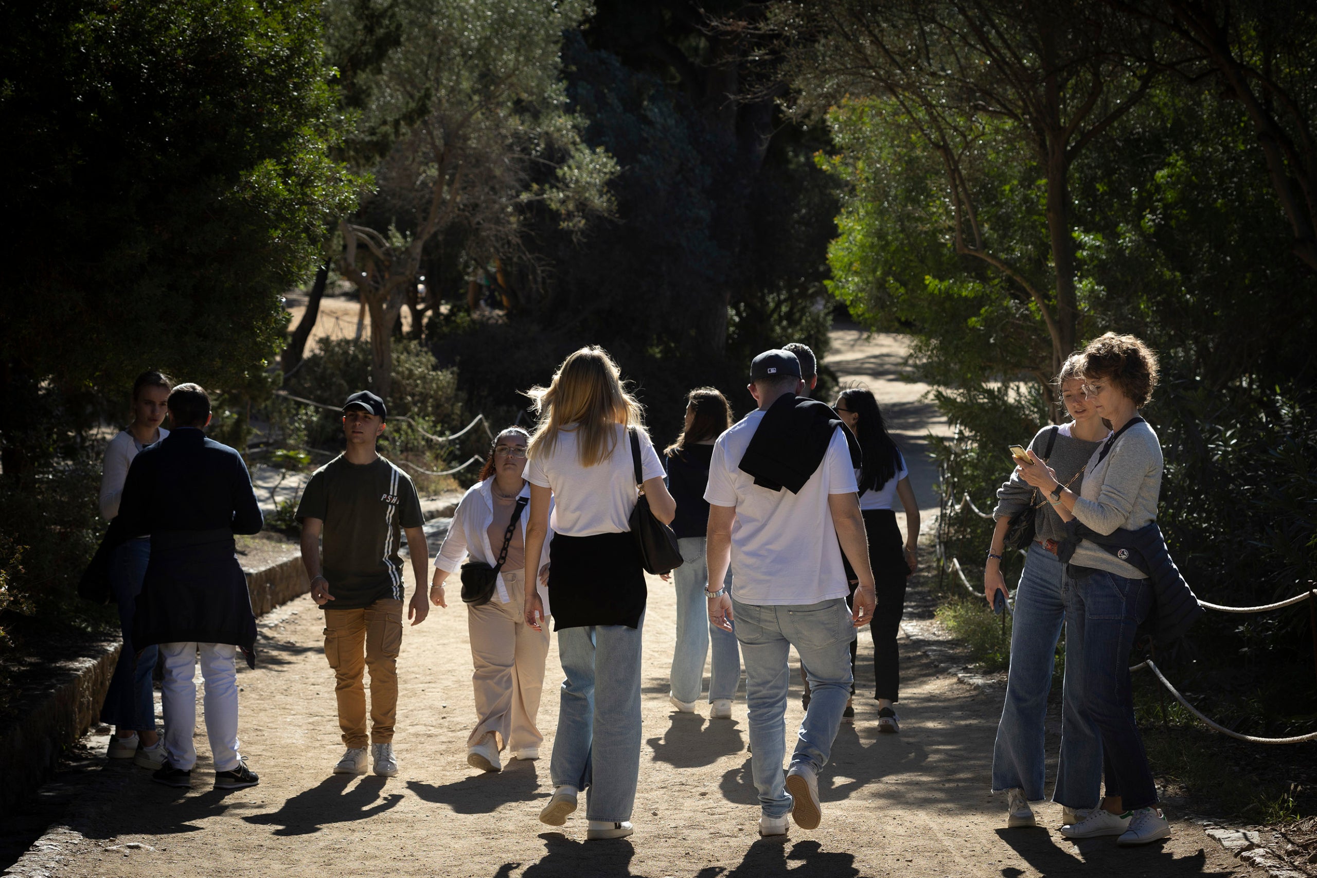 Park Güell. Entrada por Coll del Portell. Zona verde. parques y jardines, pasear, turismo, turistas