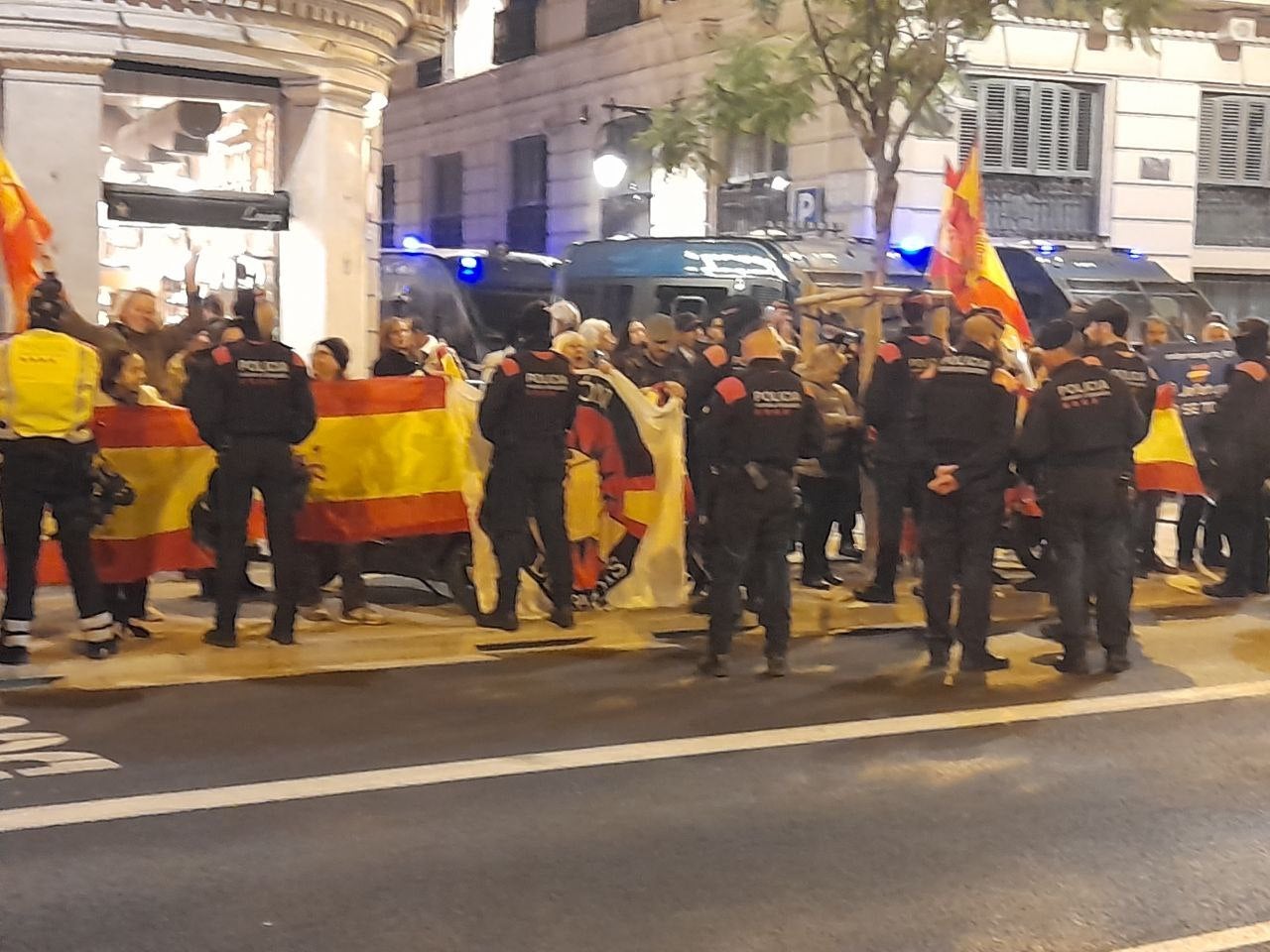 Una imagen de los españolistas ante la vía Laietana/Dani Carulla