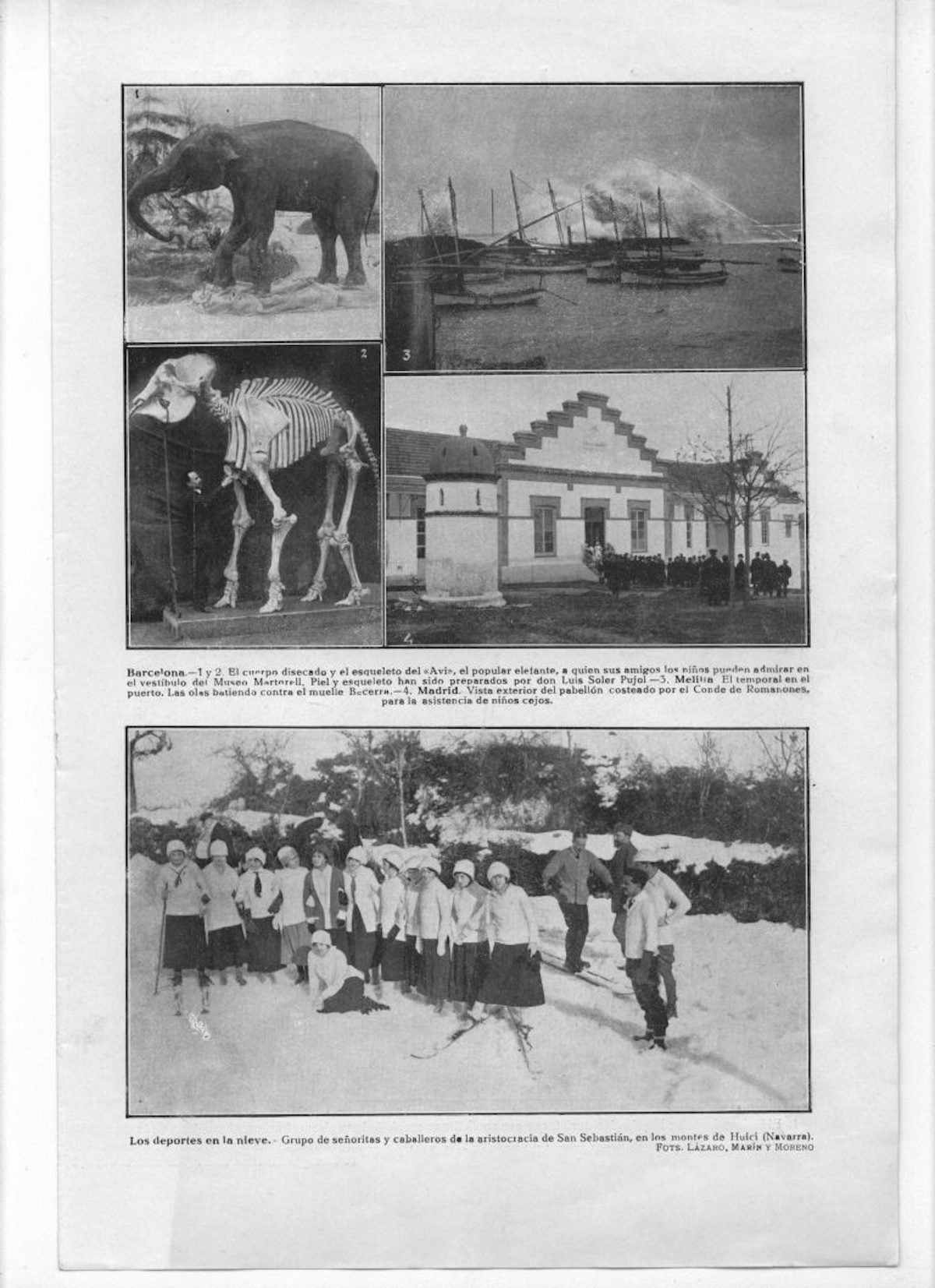 Publicació del febrer de l'any 1915 al diari Actualidad fent-se ressò de la preservació de l'esquelet i la pell exterior de l'elefant / Arxiu del Museu de Ciències Naturals de Barcelona